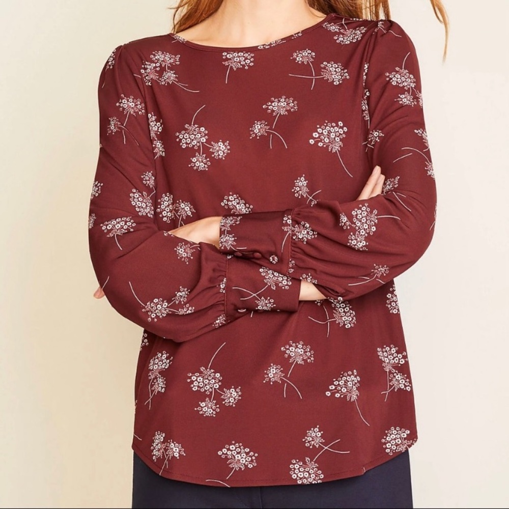 Ann Taylor burgundy blouse